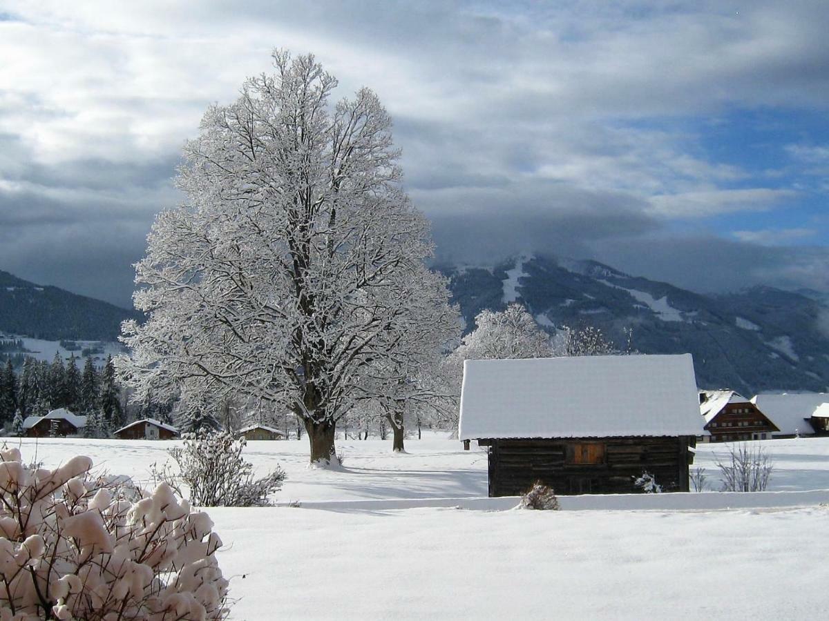 Blockhaus Royer Apartment Ramsau am Dachstein Exterior photo